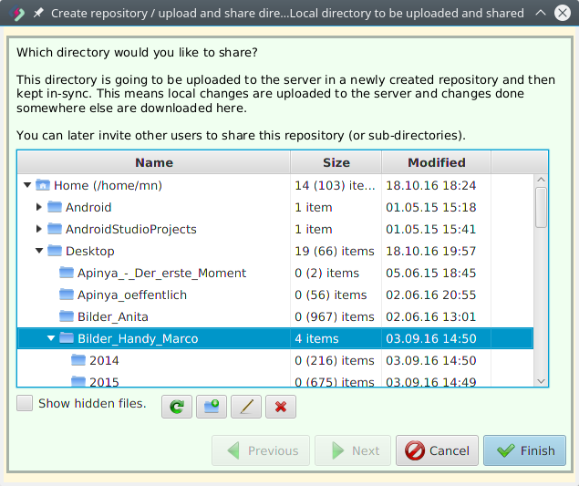 Create repository (step 2)